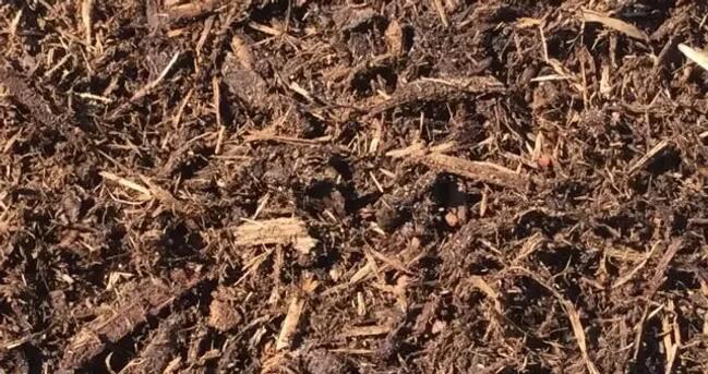 Oak Mulch