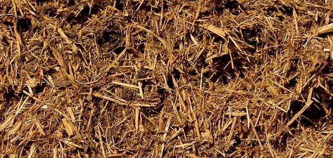 Cedar Mulch